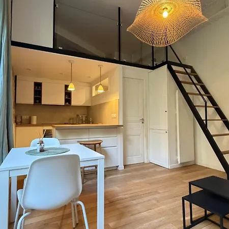 Apartment Quai Des Grands Augustins X 3 Paris